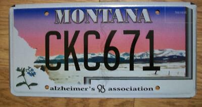 Single Montana License Plate - Ckc671 - Alzheimer's Association