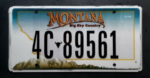 Montana Big Sky Country Bison Buffalo Skull Mountains Mt  License Plate 4c 89561