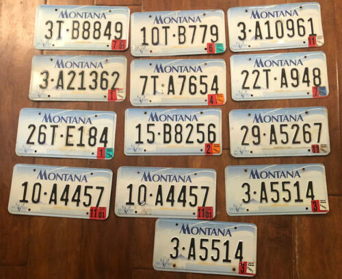 Montana 2000 Big Sky License Plates Lot Of 13 - Three Years Or Older